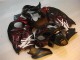 1996-2007 Black Red Flame Suzuki GSXR 1300 Hayabusa Motorbike Fairing 1996-2007 Black Red Flame Suzuki GSXR 1300 Hayabusa Motorbike Fairing