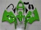 2000-2002 Green Kawasaki ZX6R Motorbike Fairing 2000-2002 Green Kawasaki ZX6R Motorbike Fairing